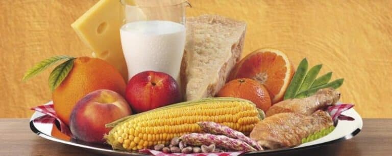 vegetarian diet plan