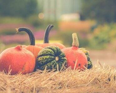 10 Unusual Tips to Help You Lose Weight