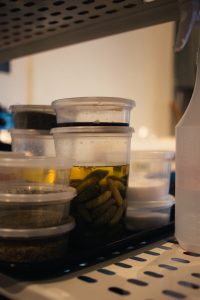 how to lose weight on a budget and busy schedule