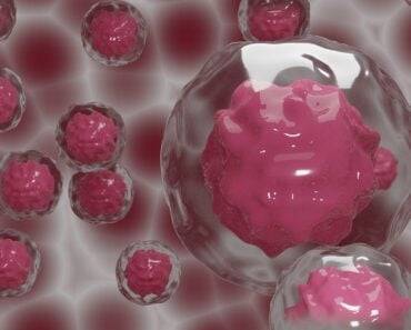 Can Intermittent Fasting Prevent Cancer?