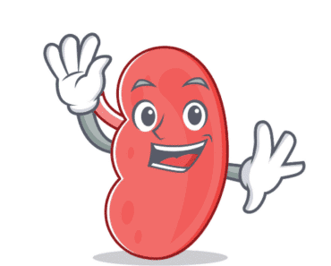 Is Keto Diet Bad for Kidneys? Do You Have These 2 Symptoms?
