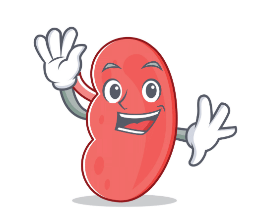 Is keto diet bad for kidneys