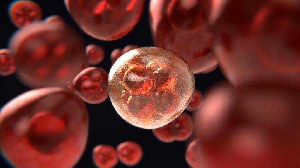 Keto diet and cancer treatment