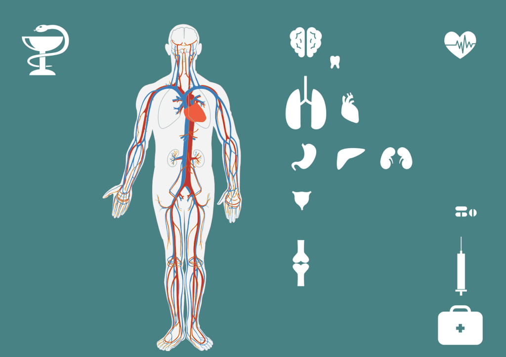 is keto diet bad for kidneys
