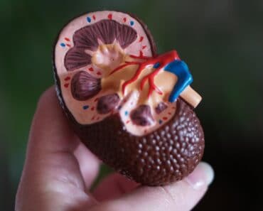 3 New Facts About Keto and Kidneys