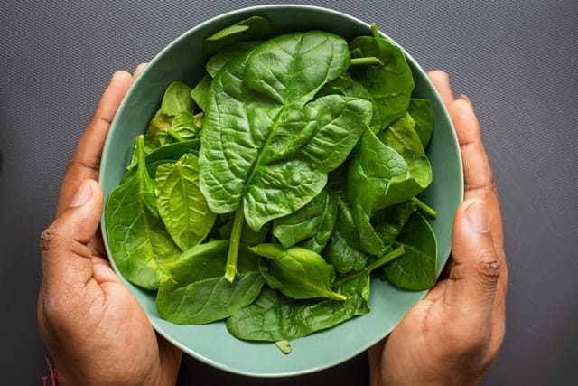 Paleo diet food list