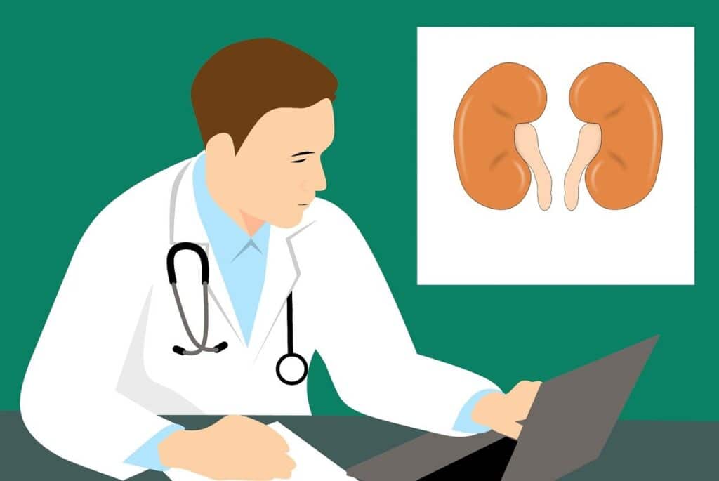 Keto and kidneys