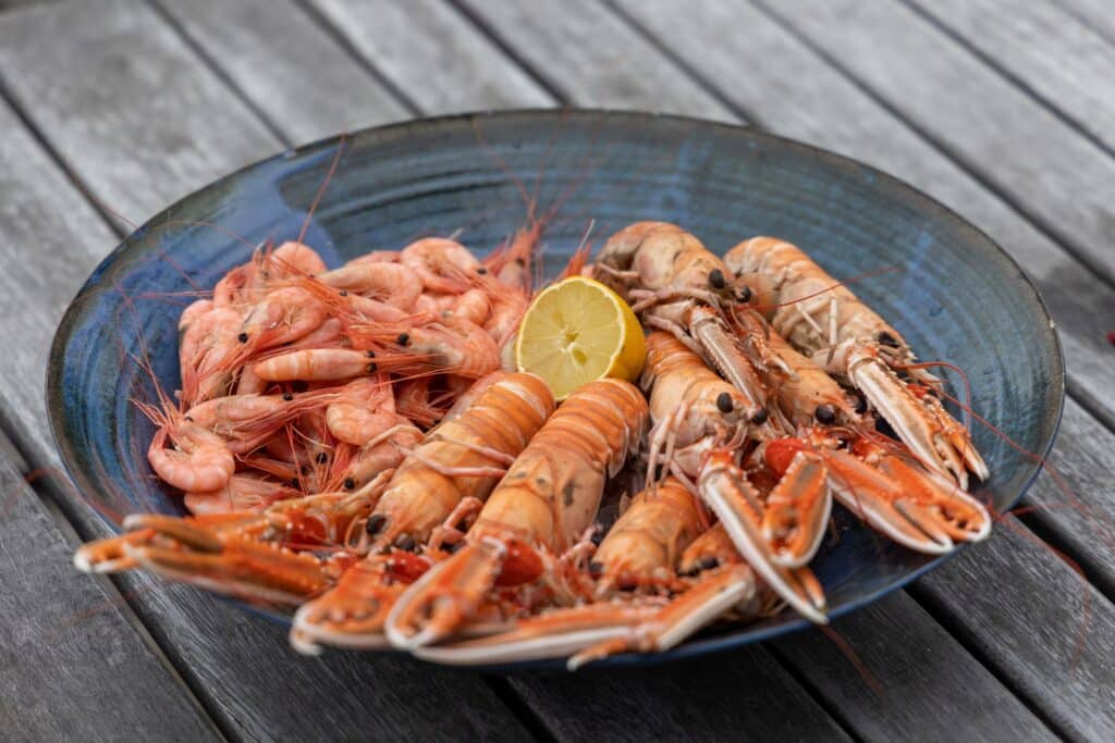 Dukan diet snacks