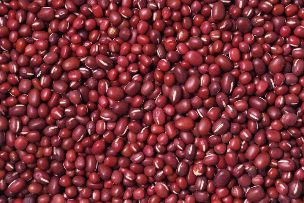 Refried beans