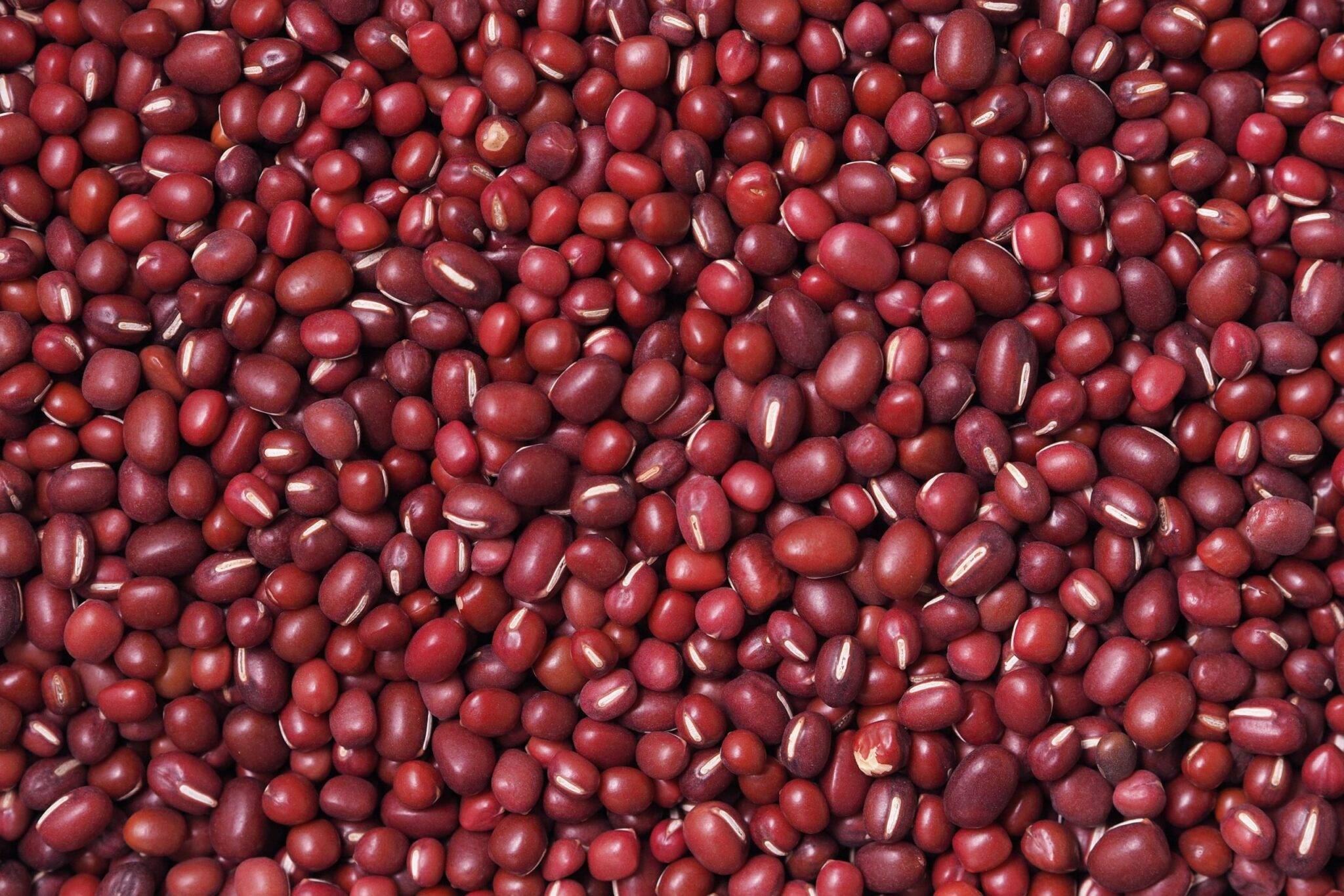 List of Foods Vegetarians Can’t Eat Diets Meal Plan