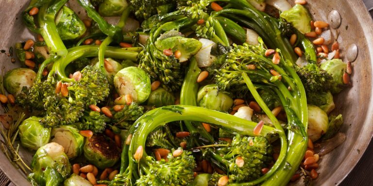 high protein vegetarian diet plan