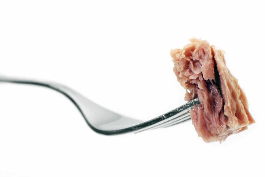 High protein foods on a budget