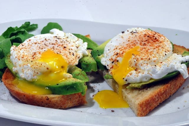 South beach diet vegetarian