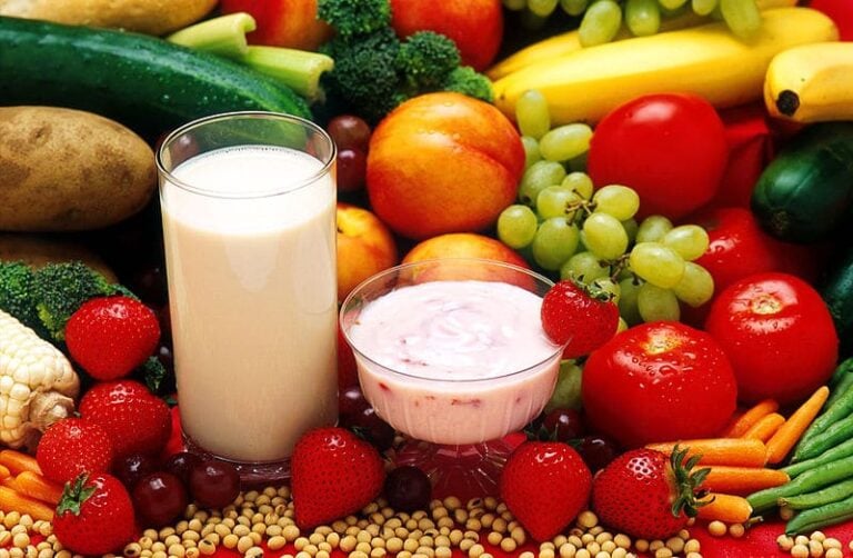 Vegan protein sources