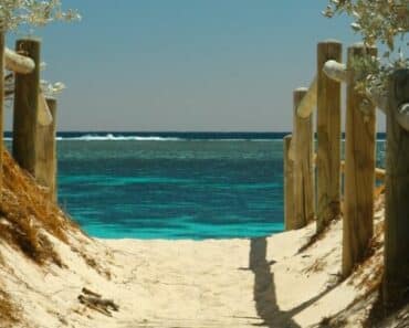 7 Day South Beach Diet Vegetarian