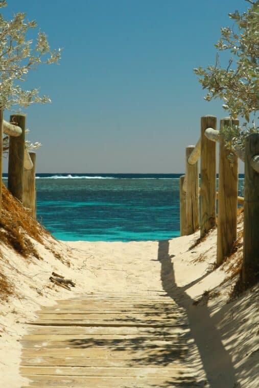 Vegetarian South Beach Diet Plan