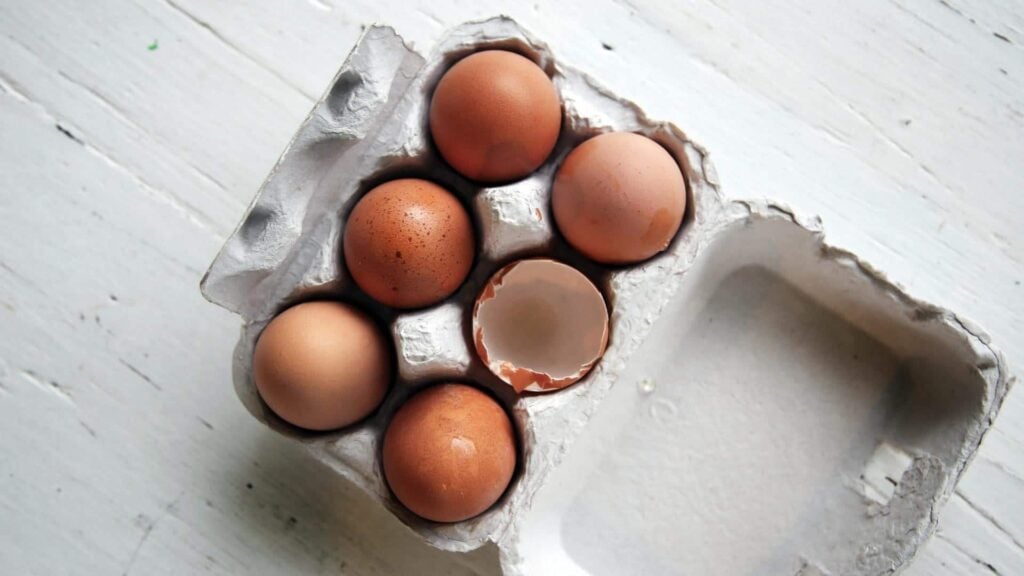 What Is Macronutrient - Protein