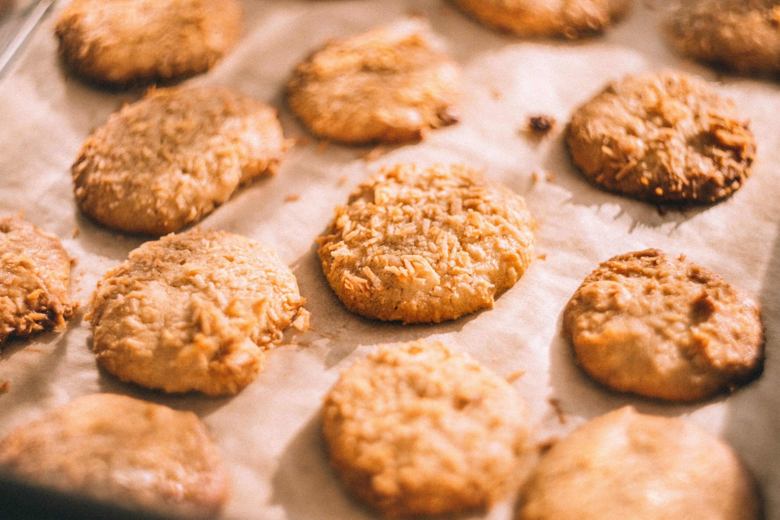 Dukan diet cookies Dukan diet cookies