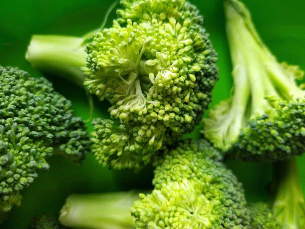 Broccoli