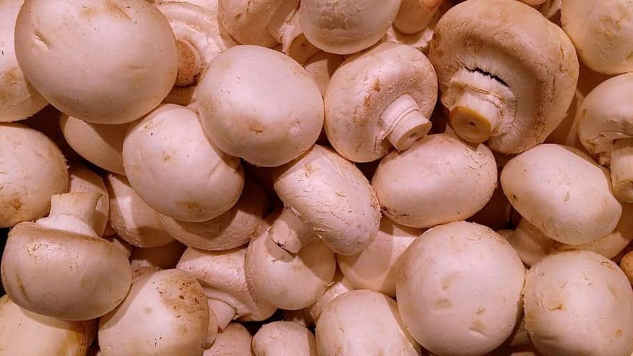 Mushrooms