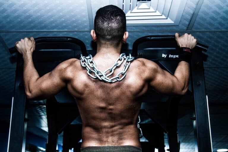 Vegan Bodybuilding Diet Plan