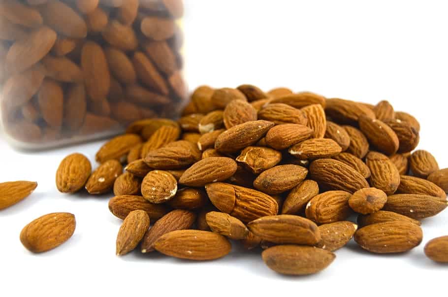 Atkins Ketogenic diet plan