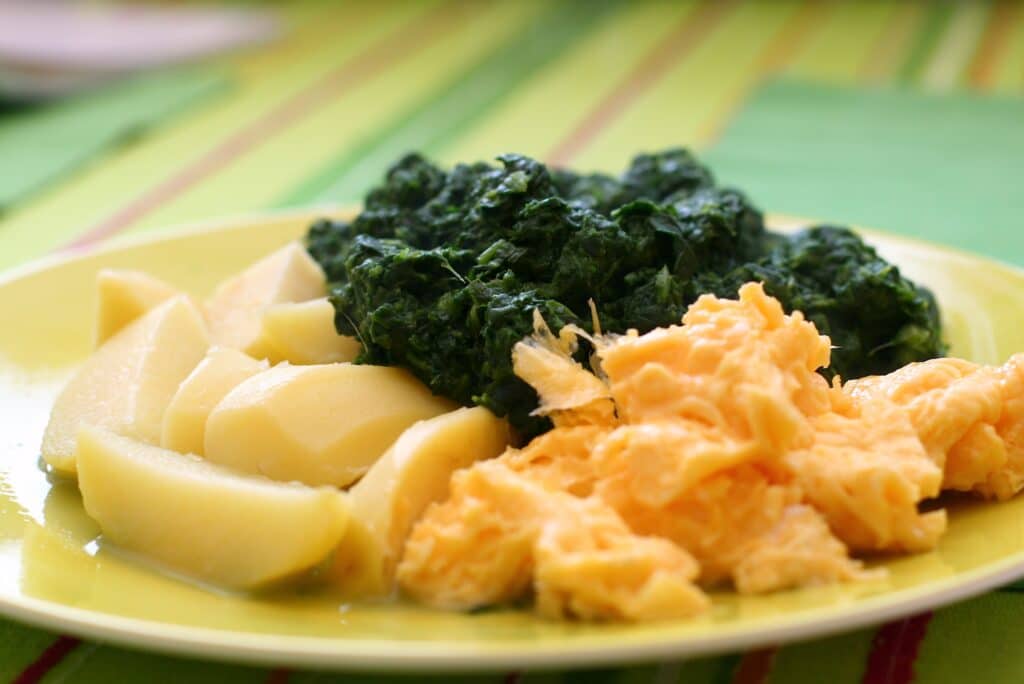 Atkins Ketogenic diet plan