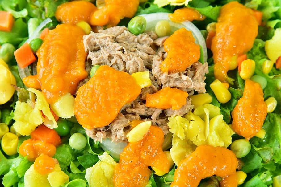 Atkins Ketogenic diet plan