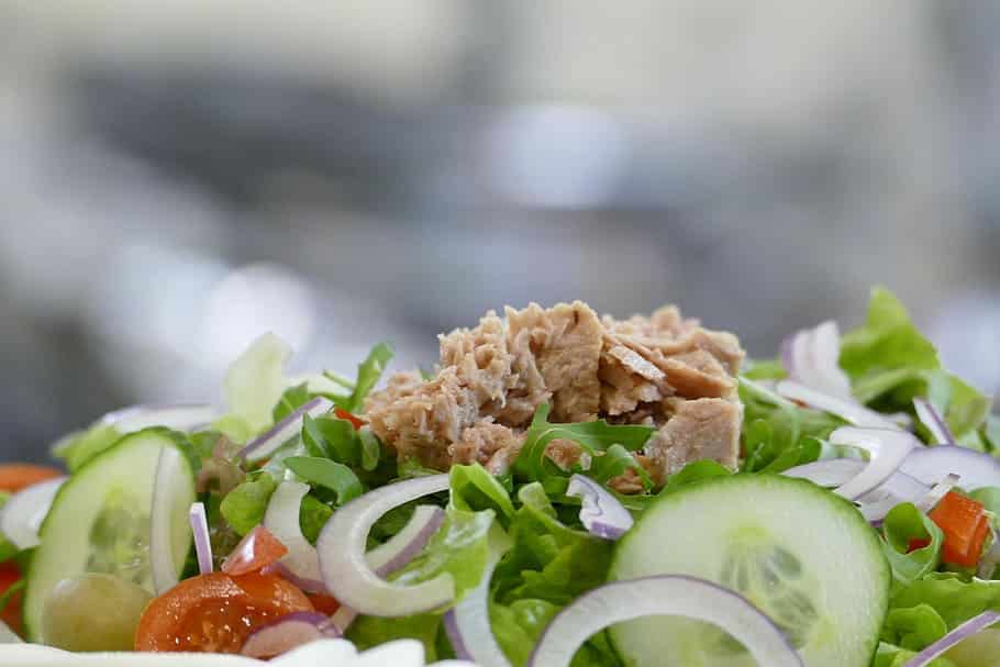 Atkins Ketogenic diet plan