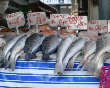 Pescatarian Meal Plan on a Budget