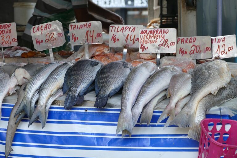 Pescatarian meal plan on a budget