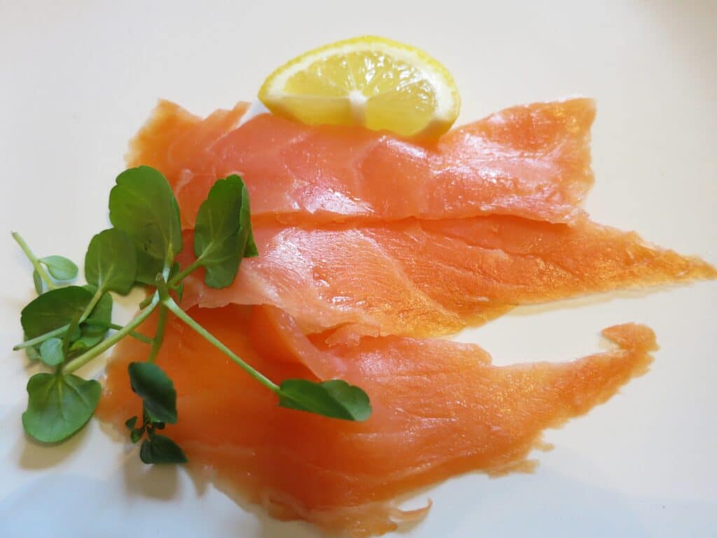 Salmon