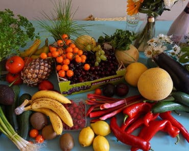 Vegan Autoimmune Diet (PRINTABLE and PDF)