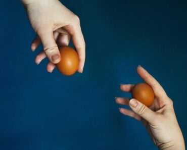 Printable Egg Diet Meal Plan Guide
