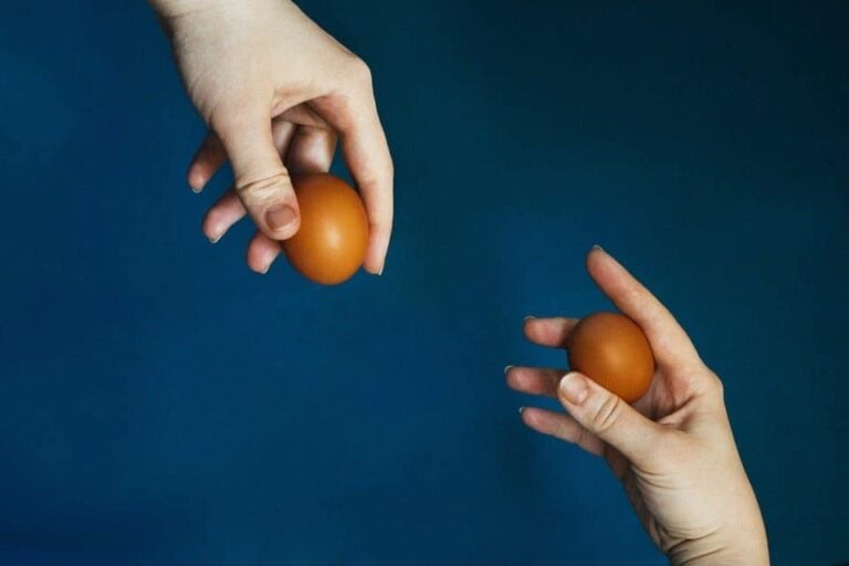 Egg Diet Meal Plan