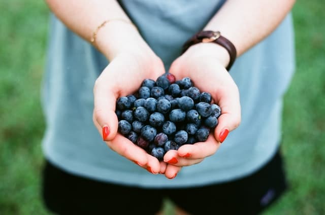 1200 Calories Diet Plan to Lower Cholesterol and Lose Weight