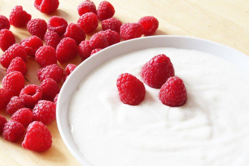 Healthy snacks less than 100 calories