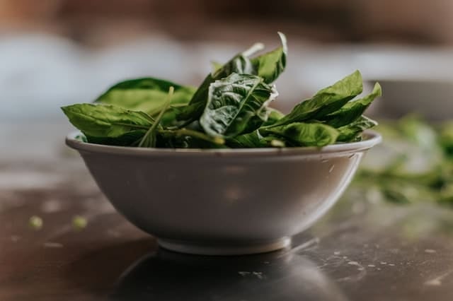 1600 calorie vegetarian meal plan