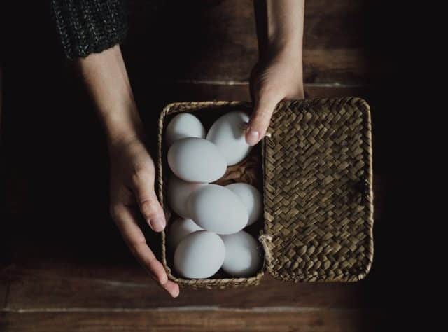 High protein diet for women