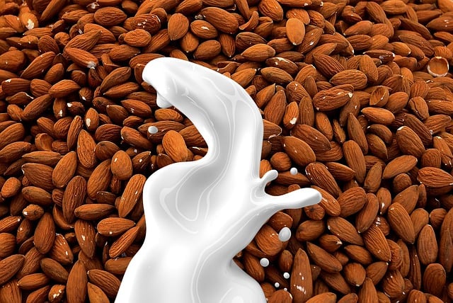 Is Almond Milk Paleo