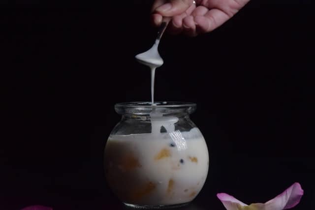 Yogurt diet meal plan