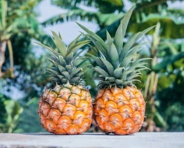 8 Foods That Help Detox Your Body