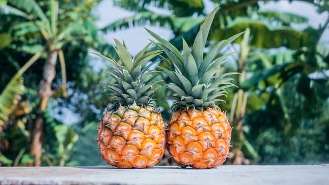 Foods That Help Detox Your Body