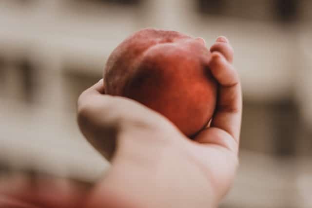 Peach diet meal plan
