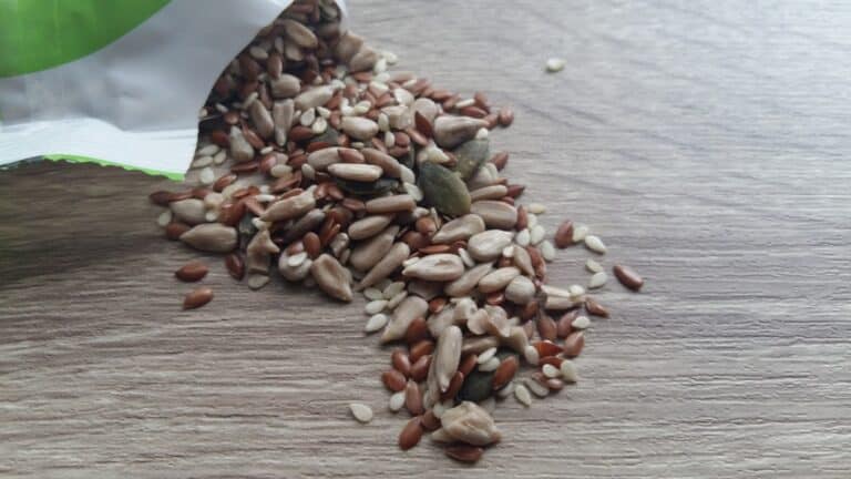 Flaxseed Side Effects