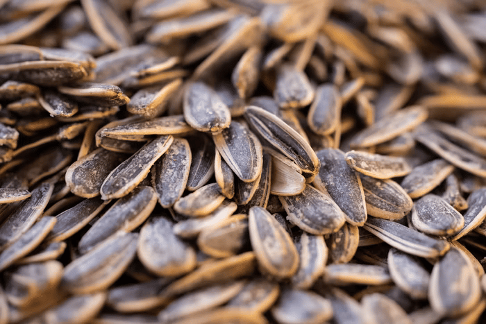 Foods that burn belly fat - Sunflower seeds