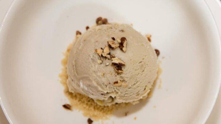 Vegan Banana Ice Cream