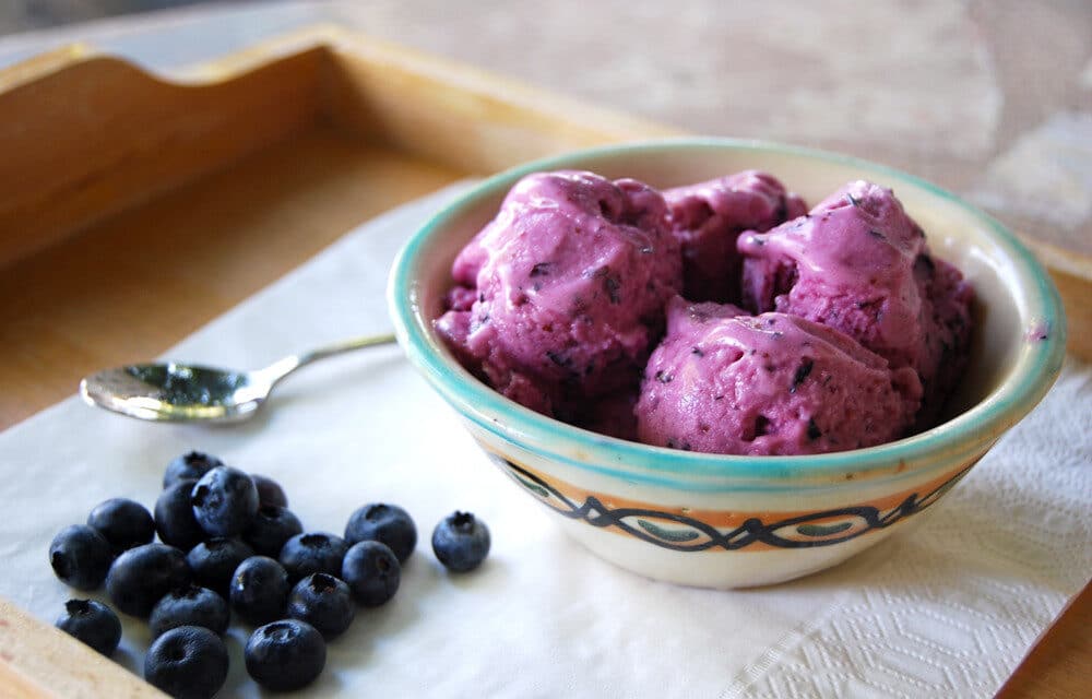 Keto Blueberry Ice Cream Recipe