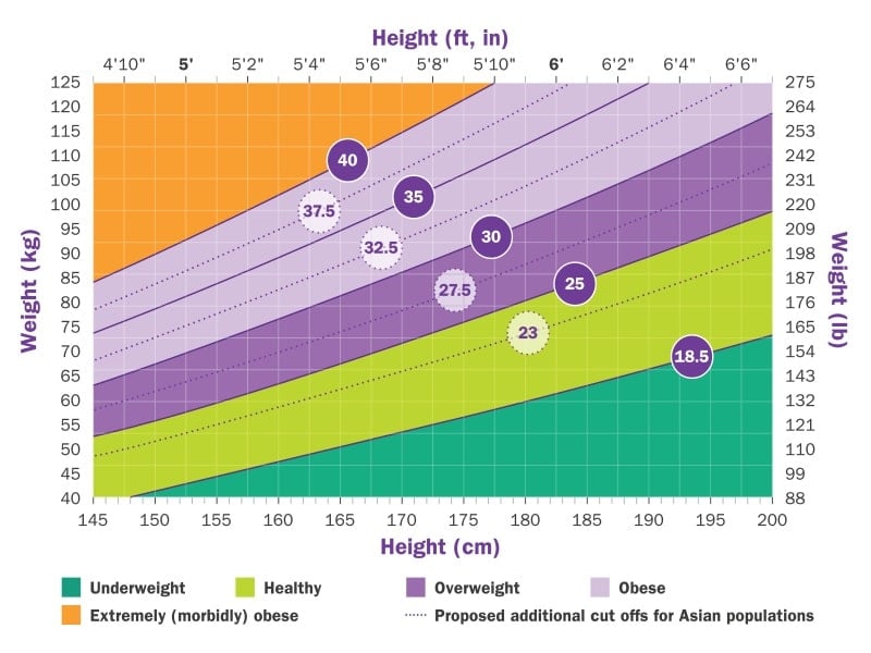 BMI Calculator (Body Mass Index)