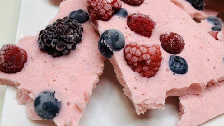 Sugar Free Frozen Yogurt Berries Bark